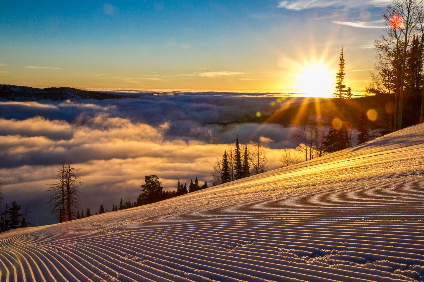 Beaver mountain discount